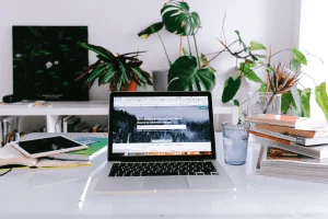 Professional Freelancing Training