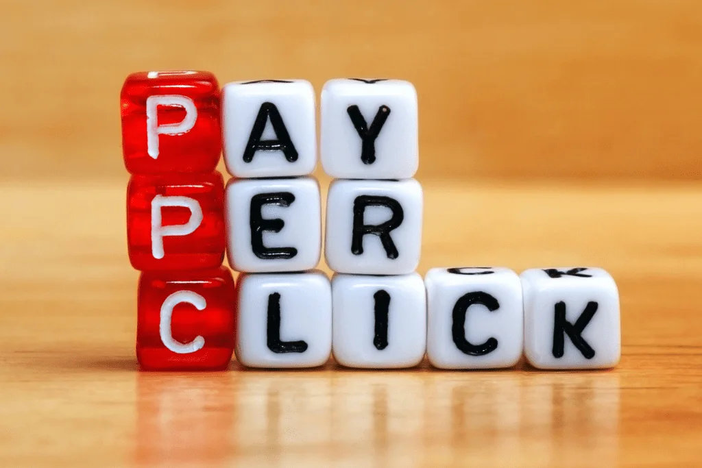Professional PPC Expert