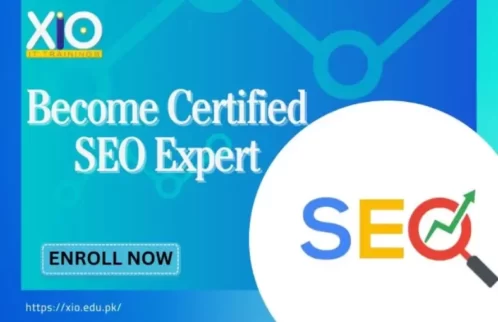 Certified SEO Expert